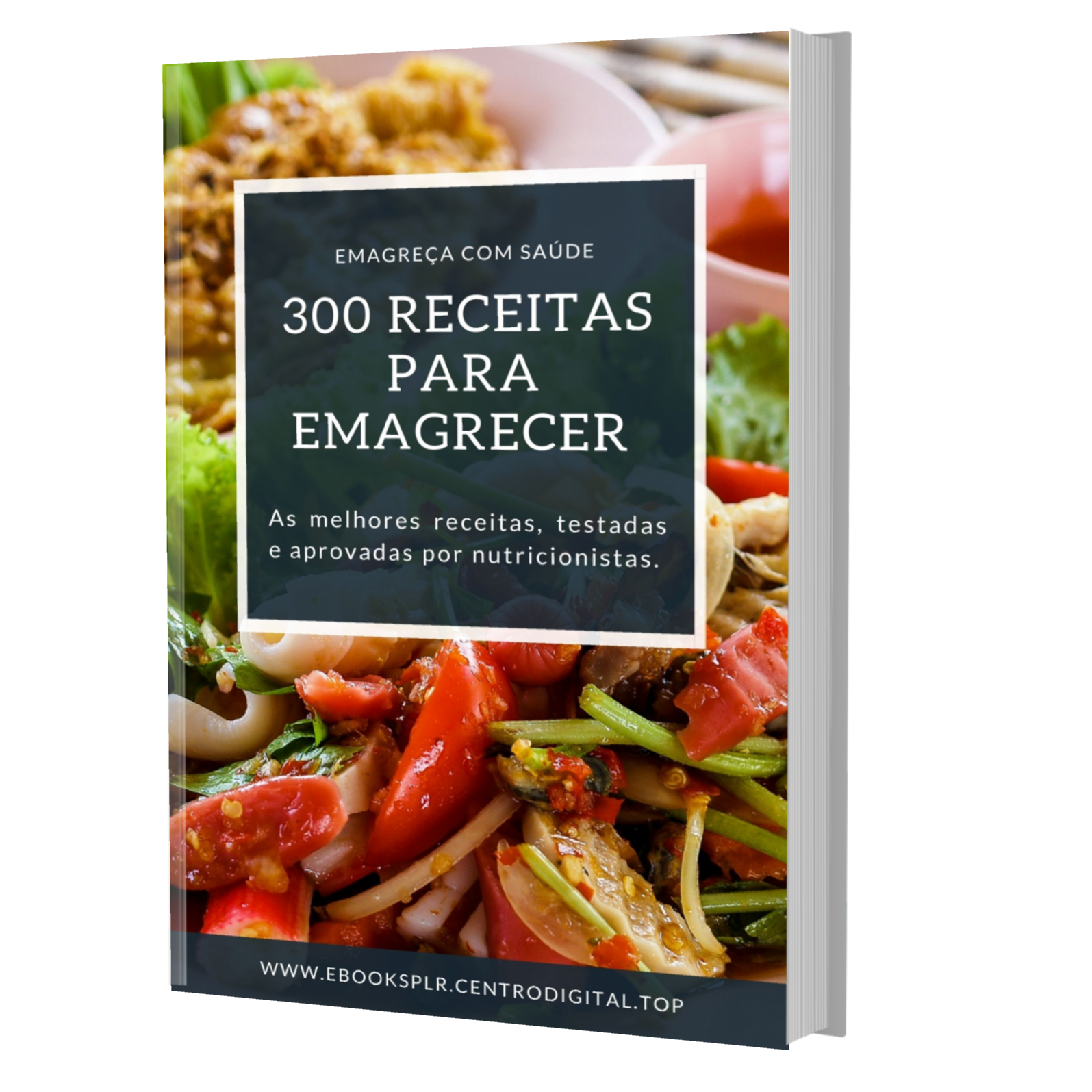 E-book 300 receitas para emagrecer