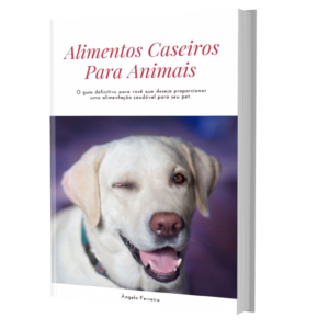 Alimentos caseiros para animais