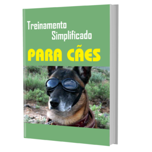 Treinamento simplificado para cães